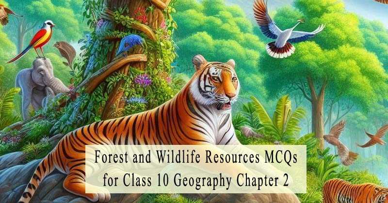 MCQs for Class 10 Geography Chapter 2